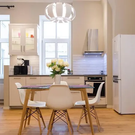 Lejlighed Modern & Spacious 80m2 In Old Town